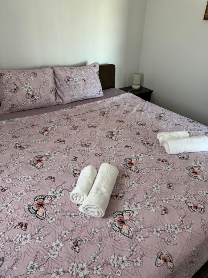 Apartments Airport Golubovci Podgorica Eksteriør billede